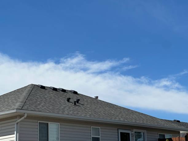 Best Roof Insulation Installation  in Seatac, WA